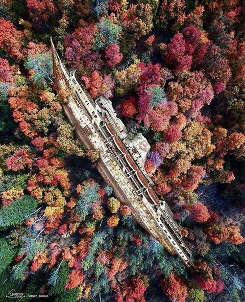 Just a ship in the forest - Ship, Forest