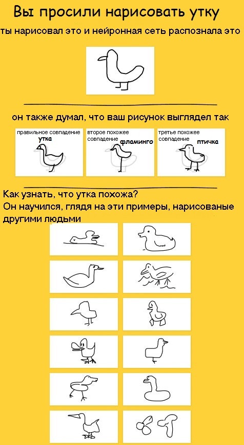 Duck - Нейронные сети, 9GAG, Duck