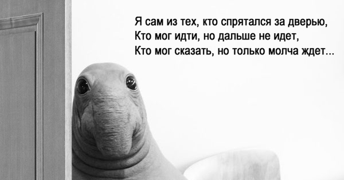 Я сам из тех