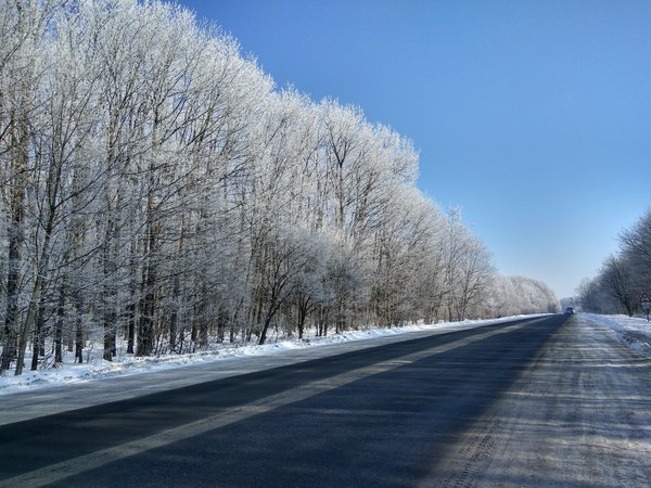 Stopped to take a photo - My, Winter, Forest, Landscape, Snow