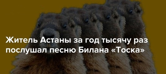 ������������� 80lvl