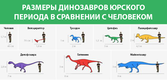 Динозавр VS Человек - Динозавры, Сравнение, Познавательно, Длиннопост