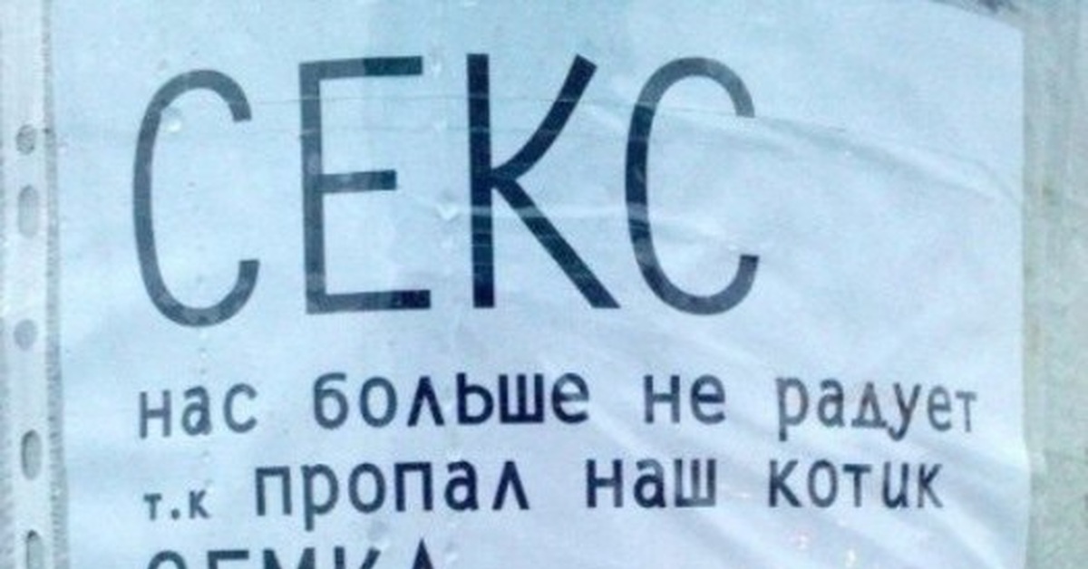 Был бы у меня такой кот. Если бы я был не я. Я бы и не женился. Был бы у меня такой Мем. Я бы не женился Мем.