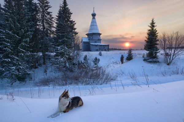 Arhangelsk region - Arkhangelsk region, , Russia, Nature, Occasion, Snow, A boat, Winter, Longpost