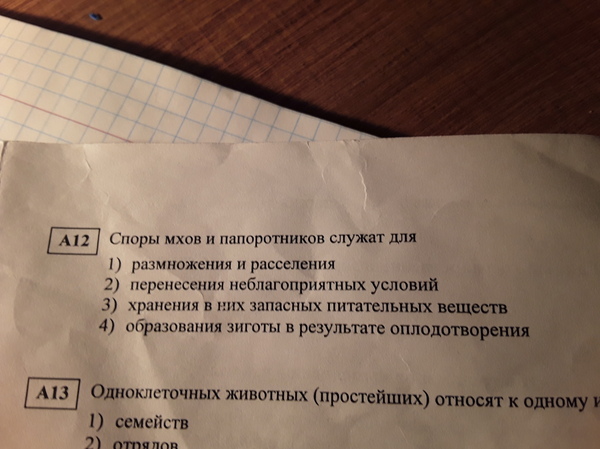 Немного переучился, это когда ты смотришь на задание и не понимаешь, о чем вообще эти гр#баные растения могут спорить? - Моё, ЕГЭ, Школа, Биология, Мох, Папоротник, Спор