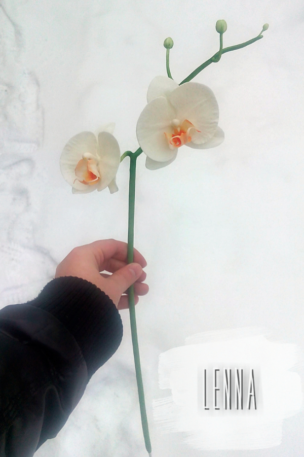 Orchid, molded by hand. - My, Orchids, Polymer floristry, Cold porcelain, Handmade, My, Longpost