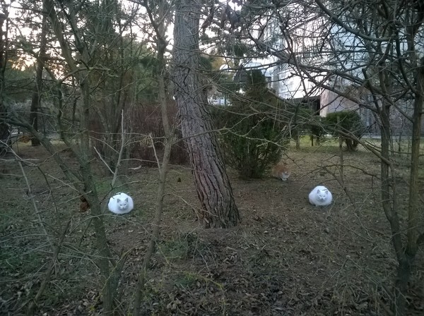 ������� ���� ����