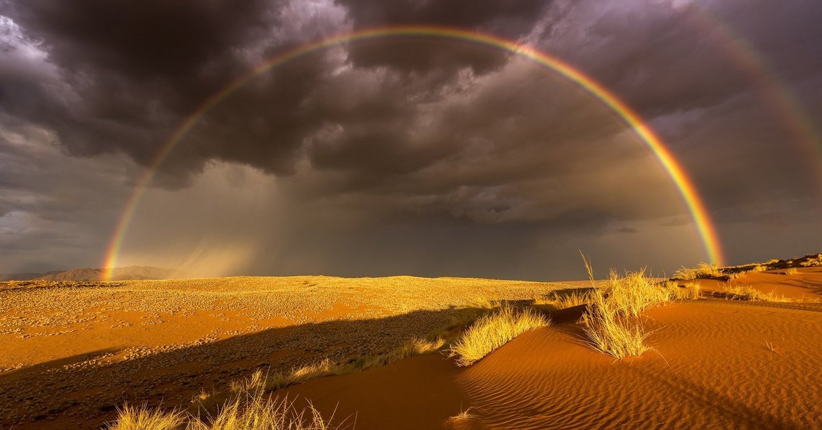 Песчаная буря в пустыне сахара. Бывают ли в пустыне дожди. Бывают ли в пустыне дожди. Ветер в пустыне. Ливень в пустыне.