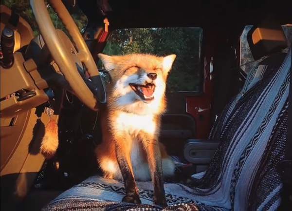 �������-���������������