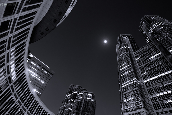 tokyo city hall - My, Canon 6d, Tokyo, Black and white, Japan