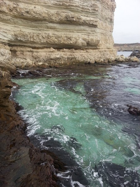 Sevastopol. December - My, Sevastopol, Crimea, December, Sea, Tree, Beach, Longpost, The rocks