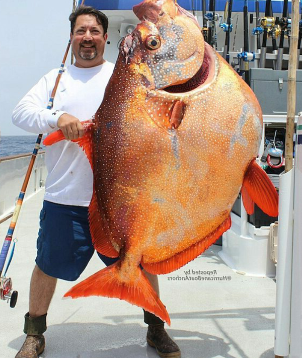 ���� ����