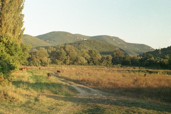 Crimea - My, Zenith TTL, The film did not die, Crimea, Summer