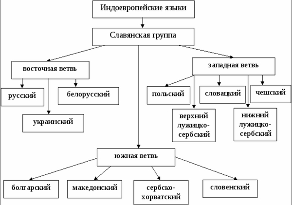 Про славян - Славяне, Дружба, Родственники