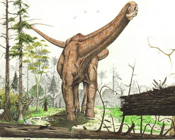 Amphicelia - Jurassic Ghost Colossus - My, Paleontology, Dinosaurs, Giant, Sauropods, Longpost