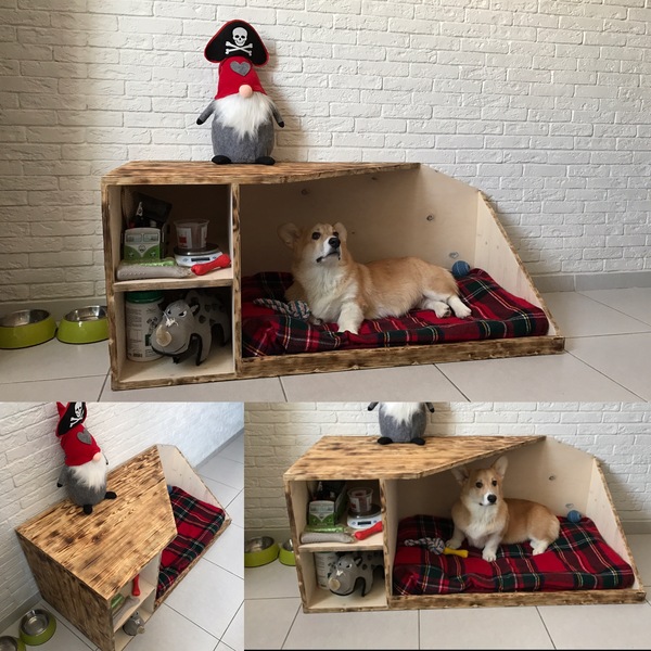 Made a house for a four-legged friend) - My, Corgi, With your own hands, Dog, Furniture, Booth