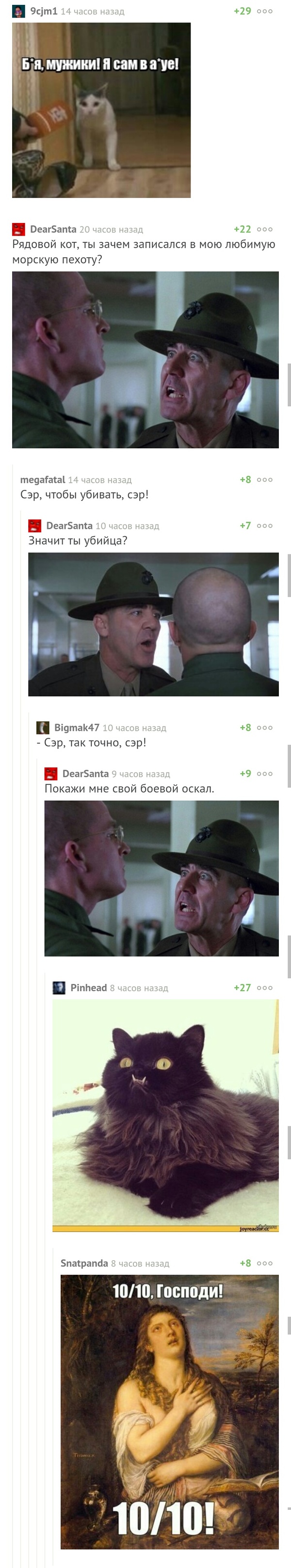 Once again, comments deliver more than the post itself (: - Comments, Full Metal Jacket, cat, , Longpost