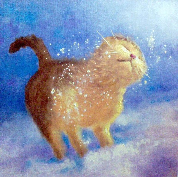 Winter cat - cat, Winter, 