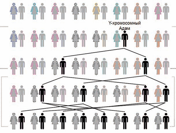 Genetics of the human population. - Genetics, Neanderthal, , , Migration, Haplogroup, Homo sapiens, GIF, Longpost, Europe