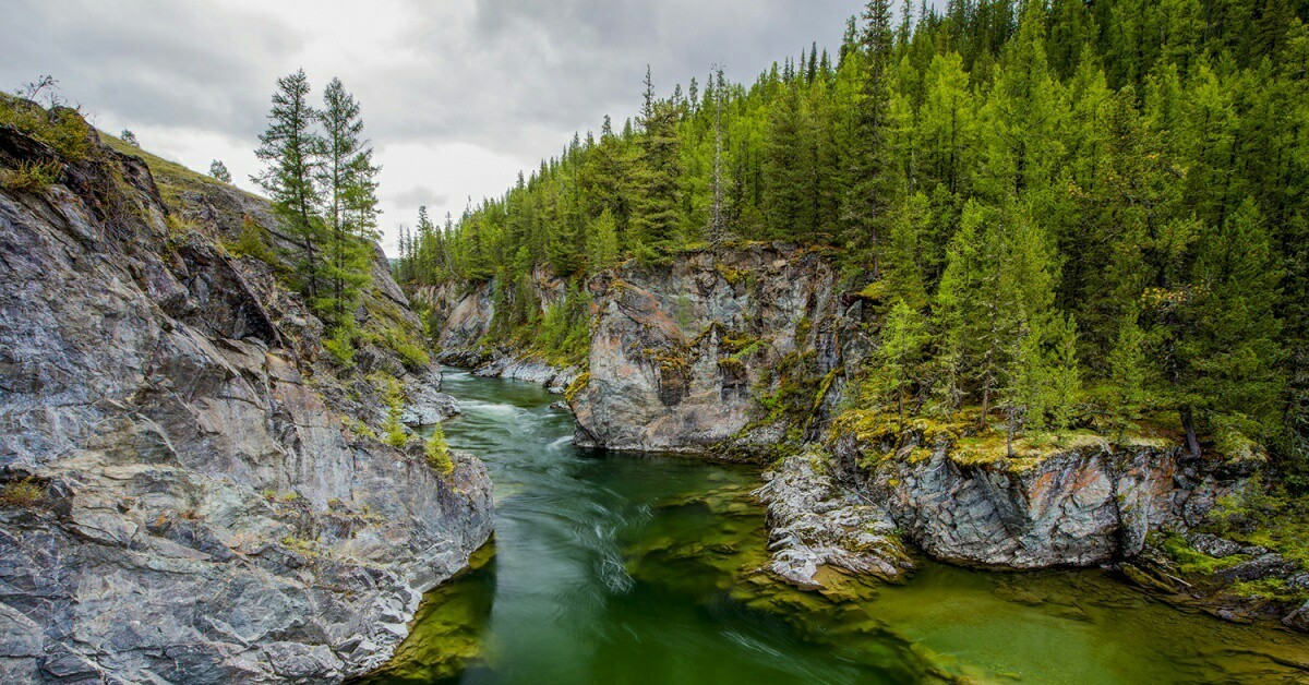 Природа алтая. Самые красивые места России. Необычные места горного Алтая. Горный Алтай фото природы. Необыкновенная природа России Алтай.