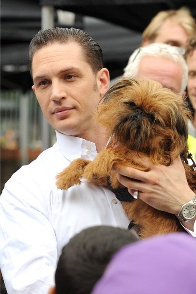 All dogs go to Hardy. - Tom Hardy, Dog, Animals, The photo, Longpost