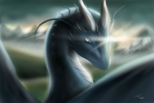 The Dragon - The Dragon, Art, Eragon, Fantasy