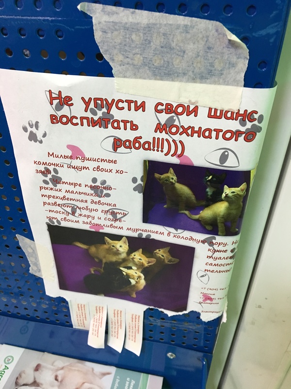 ���� ����?)