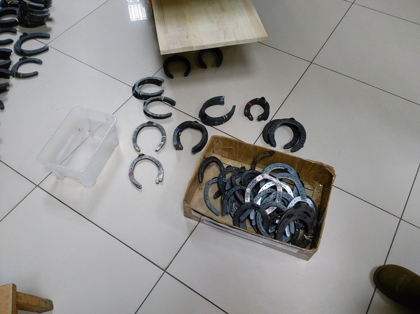 Today I did an inventory of horseshoes in the store. - My, Horses, Horseshoe, Longpost