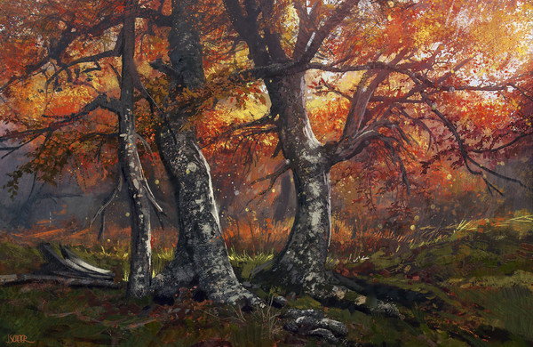 Autumn forest - Арт, Jason Scheier, Лес