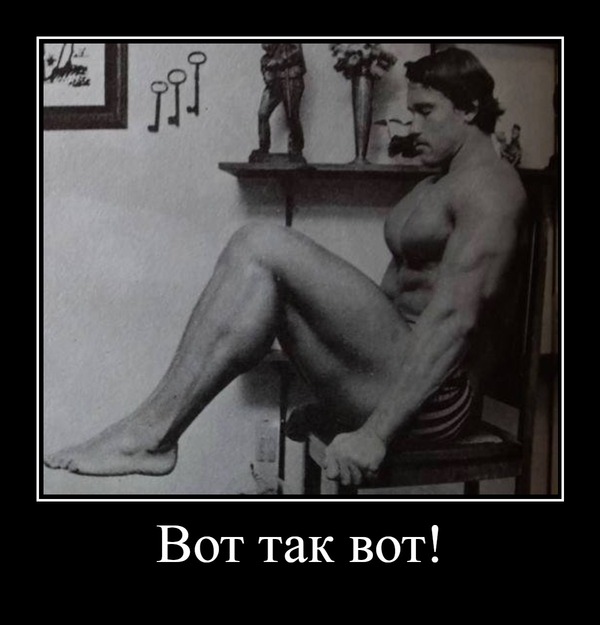 Absolutely! - Nevsky, Absolutely, Like this, Arnold Schwarzenegger