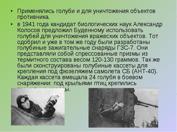 ���������� �������.