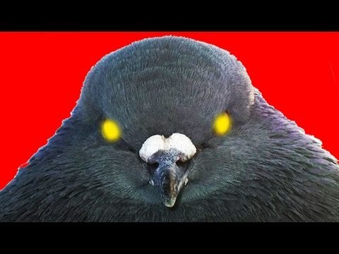 ������-���������