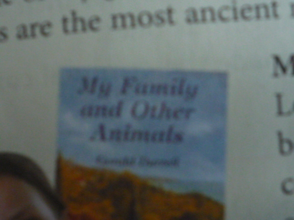 Английский | Пикабу