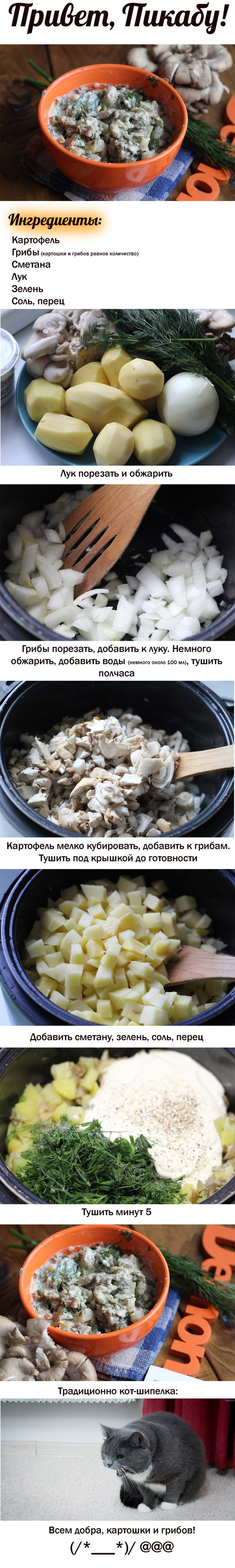 Potato and mushroom stew - My, Recipe, Cooking, Food, Potato, Mushrooms, Multicooker, cat, Stew, Longpost