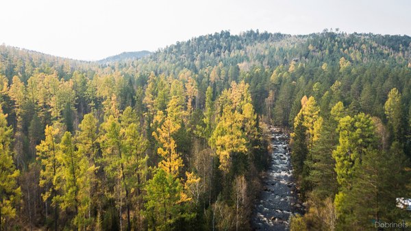 Skalnik Vityaz - My, Skalnik, Knight, Siberia, Nature, Forest, Autumn