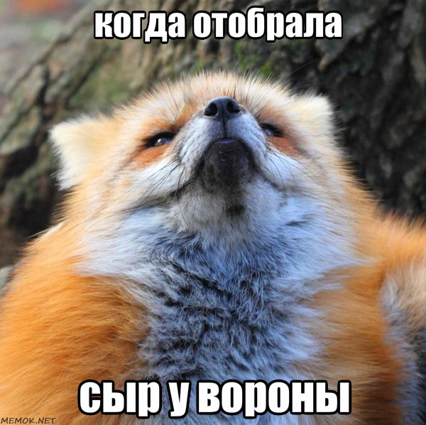 based on the fable) - Animals, Fox, Milota, Krylov's fables, Cheese, Three cheese