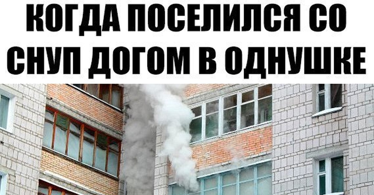 Парю где. Юмор про вейперов. Мемы про вейперов. Демотиваторы про вейперов. Вейп приколы.