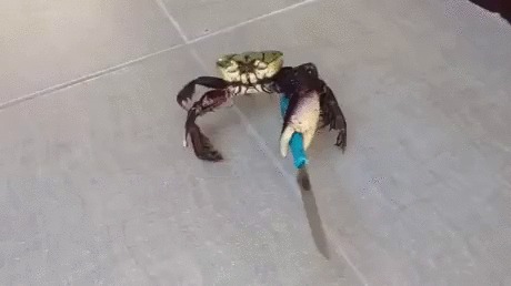  ... , , 