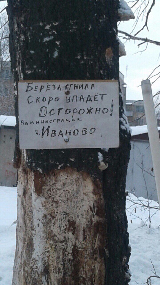 Forewarned - armed - Administration, Warning, Tree, Ivanovo