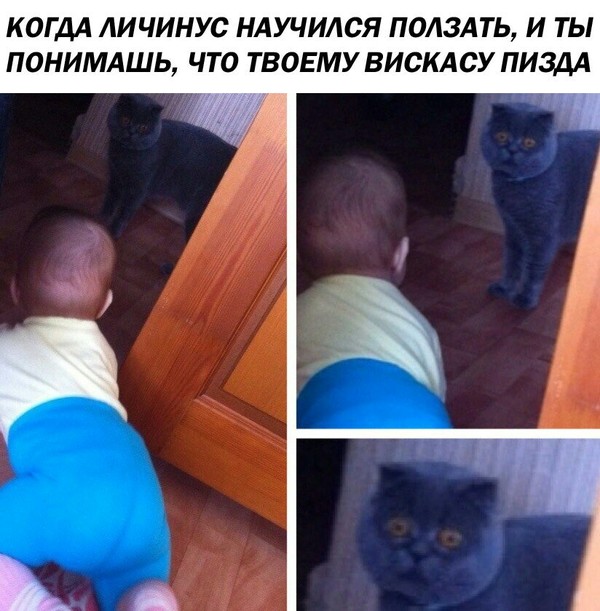 When I grew up - cat, Child