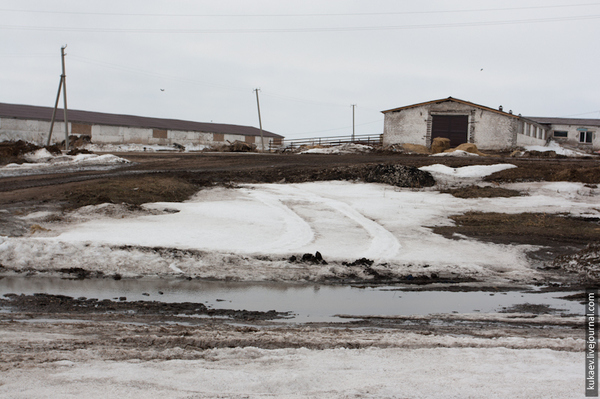 Cowshed. - My, Story, History of the USSR, Village, Farm, Longpost