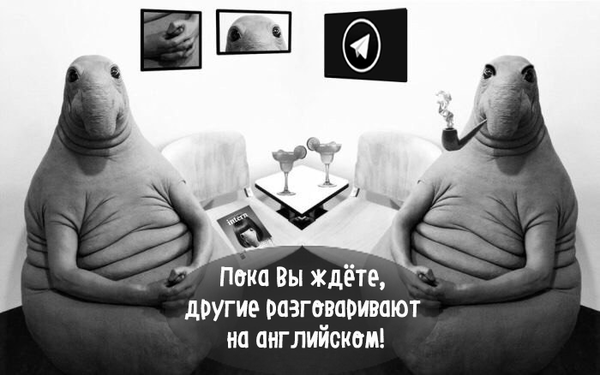 Телеграмма | Пикабу