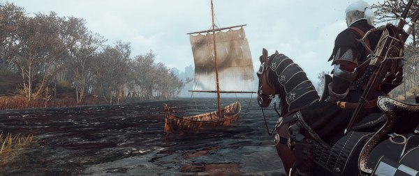 Witcher compilation - My, Witcher, The Witcher 3: Wild Hunt, Screenshot, Fantasy, Andrzej Sapkowski, CD Projekt, Longpost