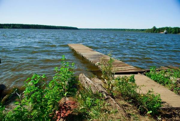 Summer in the Tver region - My, Summer, , Pine, Volga, Tent, Fishing, Tver region, Nature, Longpost, Volga river
