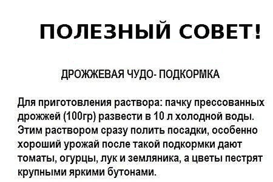 Полезные советы огороднику - Огород, Советы огороднику, Народные средства, Много букв, Длиннопост