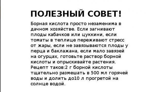 Полезные советы огороднику - Огород, Советы огороднику, Народные средства, Много букв, Длиннопост