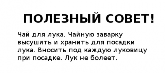 Полезные советы огороднику - Огород, Советы огороднику, Народные средства, Много букв, Длиннопост