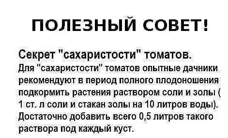 Полезные советы огороднику - Огород, Советы огороднику, Народные средства, Много букв, Длиннопост