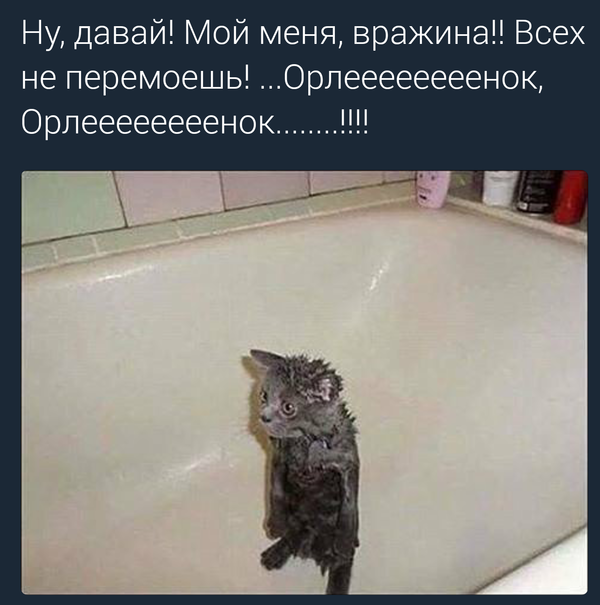  , , ,    