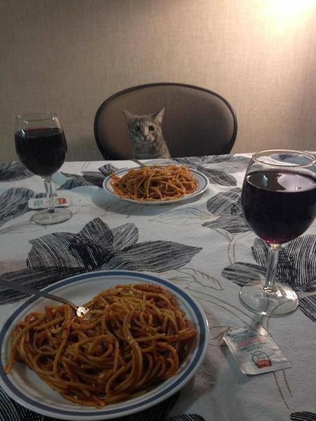 Romantic dinner with a cat - My, Romantic dinner, , Polymer clay, Valentine's Day, Spaghetti, cat, Лепка